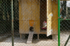 P1100125