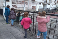Parke_zaharra2