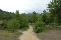 P1070472
