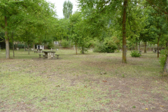 P1070491