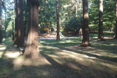 IMG-20181119-WA0039