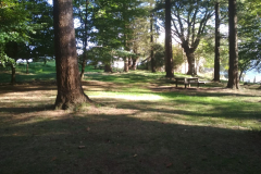 IMG-20181119-WA0042