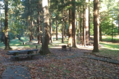 IMG-20181119-WA0045