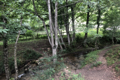 IMG-0815