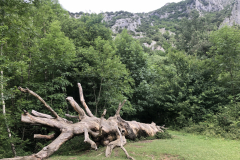 IMG-0817