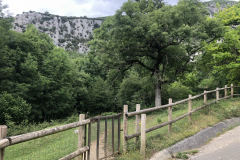 IMG-0826