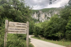 IMG-0833