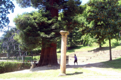monterron-3