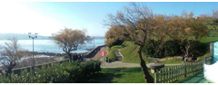pano