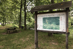 IMG-0785