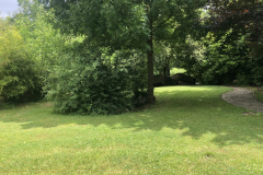 IMG-08051